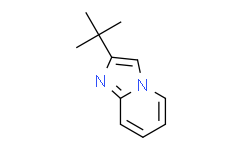 2-(叔丁基)咪唑并[1,2-a]吡啶