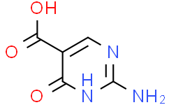 2-氨基-4-羟基嘧啶-5-羧酸