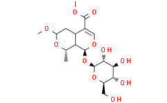 7-O-甲基莫诺苷