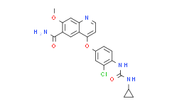 4-[3-氯-4-(环丙基氨基羰基)氨基苯氧基]-7-甲氧基-6-喹啉甲酰胺