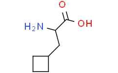 环丁基丙氨酸