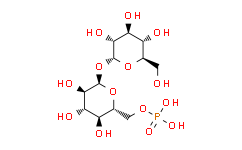 ((2R，3S，4S，5R，6R)-3，4，5-三羟基-6-(((2R，3R，4S，5S，6R)-3，4，5-三羟基-6-(羟甲基)四氢-2H-吡喃-2-基)氧基)四氢-2H-吡喃-2-基)甲基磷酸酯