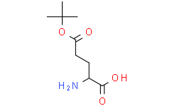 D-谷氨酸-5-叔丁酯