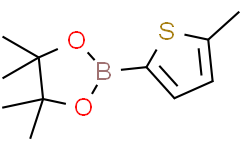 5-甲基噻吩-2-硼酸頻那醇酯