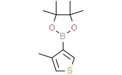 4-甲基-3-噻吩硼酸频哪醇酯