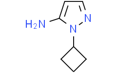 1-环丁基-1H-吡唑-5-胺