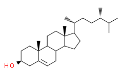 24α-methyl Cholesterol