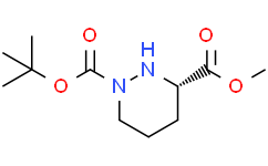 1-(叔丁基) 3-甲基 (S)-四氢哒嗪-1,3(2H)-二羧酸酯