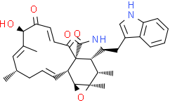 毛壳球菌素