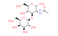 乳糖-N-乙糖