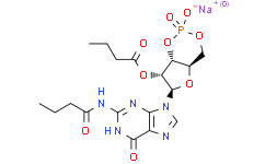二丁酰-cGMP 钠盐