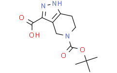 1,4,6,7-Tetrahydro-pyrazolo[4,3-c]pyridine-3,5-dicarboxylic acid 5-tert-butyl ester