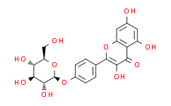 山奈酚-4’-葡萄糖苷
