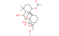毛栲利寧