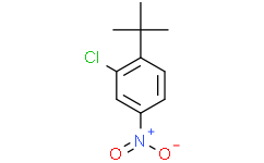1-(叔丁基)-2-氯-4-硝基苯