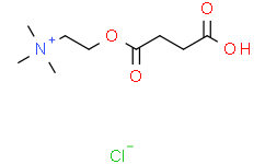2-((3-羧基丙酰基)氧基)-N,N,N-三甲基乙胺氯化物