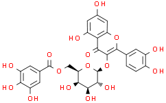 槲皮素3-O-(6''-没食子酰基)-β-D-半乳糖苷