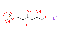 D-葡萄糖-6-磷酸单钠盐/β-D-葡萄糖-6-磷酸钠盐/6-磷酸葡萄糖钠盐/6-磷酸葡萄糖酸一钠盐/G-6-P-Na