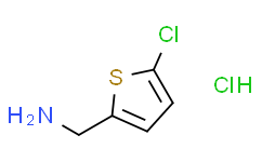 (5-氯噻吩-2-基)甲胺 盐酸盐