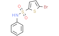 5-溴-N-苯基噻吩-2-磺酰胺