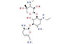 奈替米星-D5