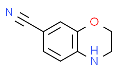 3,4-二氢-2H-苯并[b][1,4]恶嗪-7-甲腈