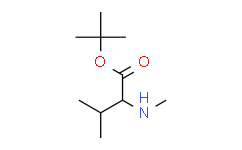 N-Methyl-(S)-valine tert-butyl ester