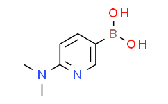 2-(二甲基氨基)吡啶-5-硼酸