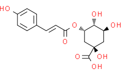 3-O-對香豆酰基奎寧酸