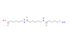 6-(6-(6-氨基己酰胺)己酰胺)己酸