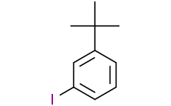 1-(叔丁基)-3-碘苯