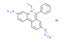 疊氮溴化乙錠（EMA）