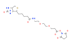 9-(生物素氨基)-4,7-二氧杂壬酸N-琥珀酰亚胺酯
