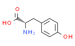 D-酪氨酸,556-02-5