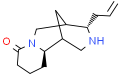 angustifoline