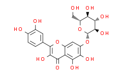 槲皮万寿菊素-7-O-β-D-葡萄糖苷