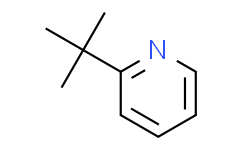 2-(叔丁基)吡啶