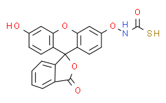 异硫氰酸荧光素-葡聚糖;FITC-右旋糖酐