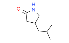 4 -異丁基- 2 -吡咯烷酮