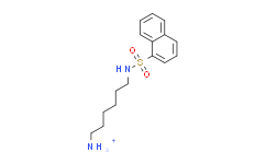 N-(6-氨基己基)-1-萘磺酰胺盐酸盐