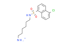 N-(6-氨基己基)-5-氯-1-萘磺酰胺盐酸盐