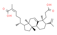 南五味子酸