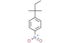 1-硝基-4-(叔戊基)苯