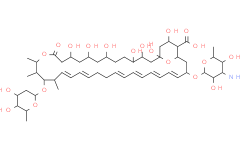 制霉菌素(Fungicidin)