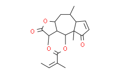 小堆心菊素C