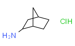 endo-双环[2.2.1]庚烷-2-胺盐酸盐