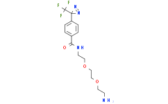 N-(2-(2-(2-氨基乙氧基)乙氧基)乙基)-4-(3-(三氟甲基)-3H-双吖丙啶-3-基)苯甲酰胺