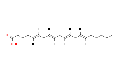 [5,6,8,9,11,12,14,15-D8]-花生四烯酸[干冰運輸]