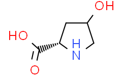 4-羟基吡咯烷-2-羧酸