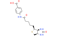 N-(+)-生物素基-4-氨基苯甲酸